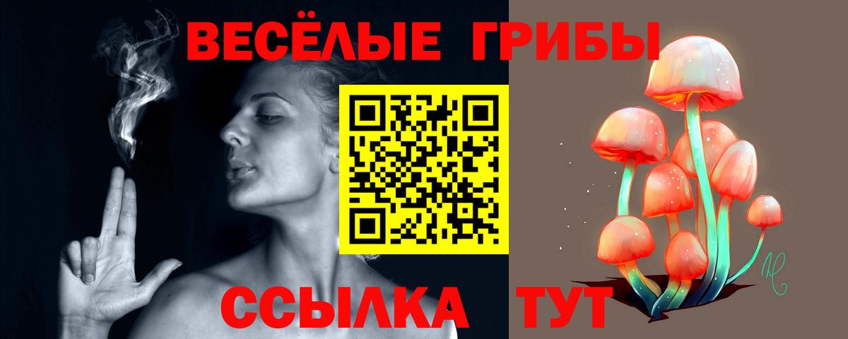 Кызыл  Галлюциногенные грибы Psilocybe  Вход с VPN 
